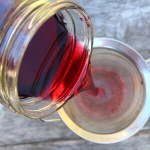 Filtering Homemade Blackcurrant Liqueur ~ Cassis