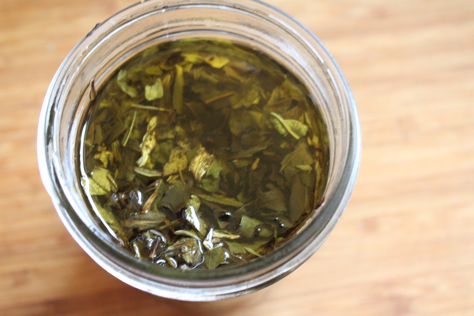 Finished Echinacea Tincture Before Straining