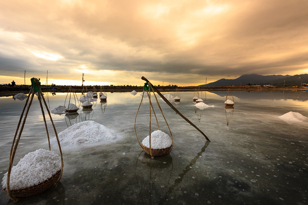 harvesting sea salt