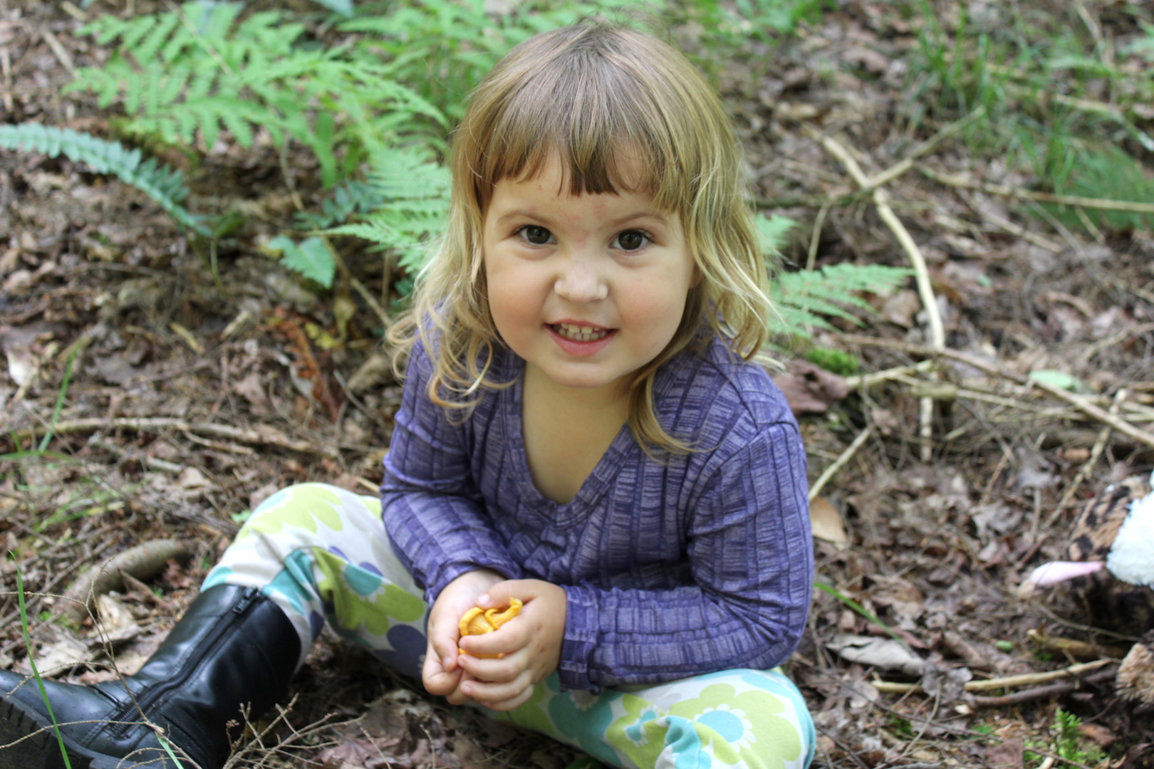 Foraging chanterelles with kids