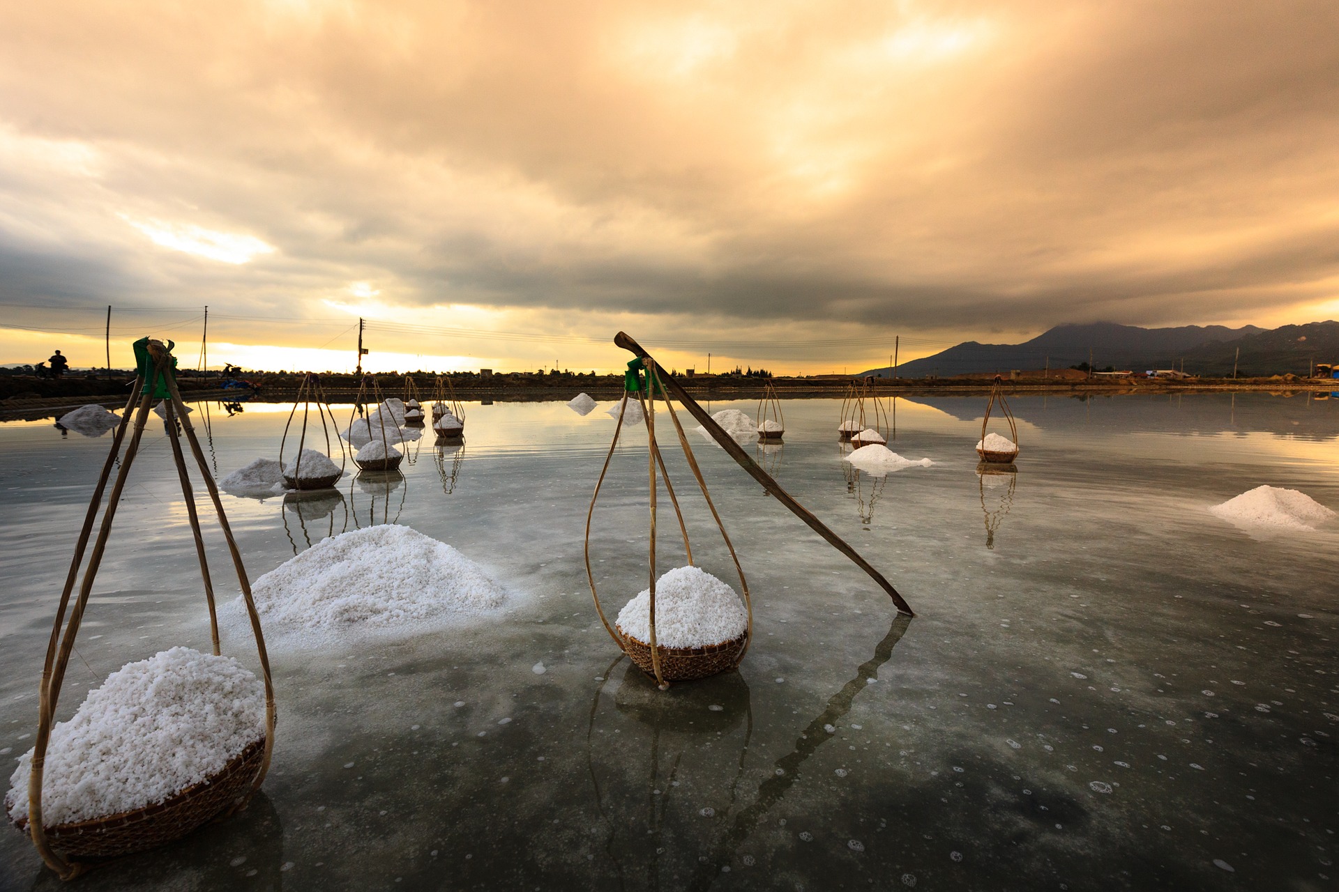 harvesting sea salt