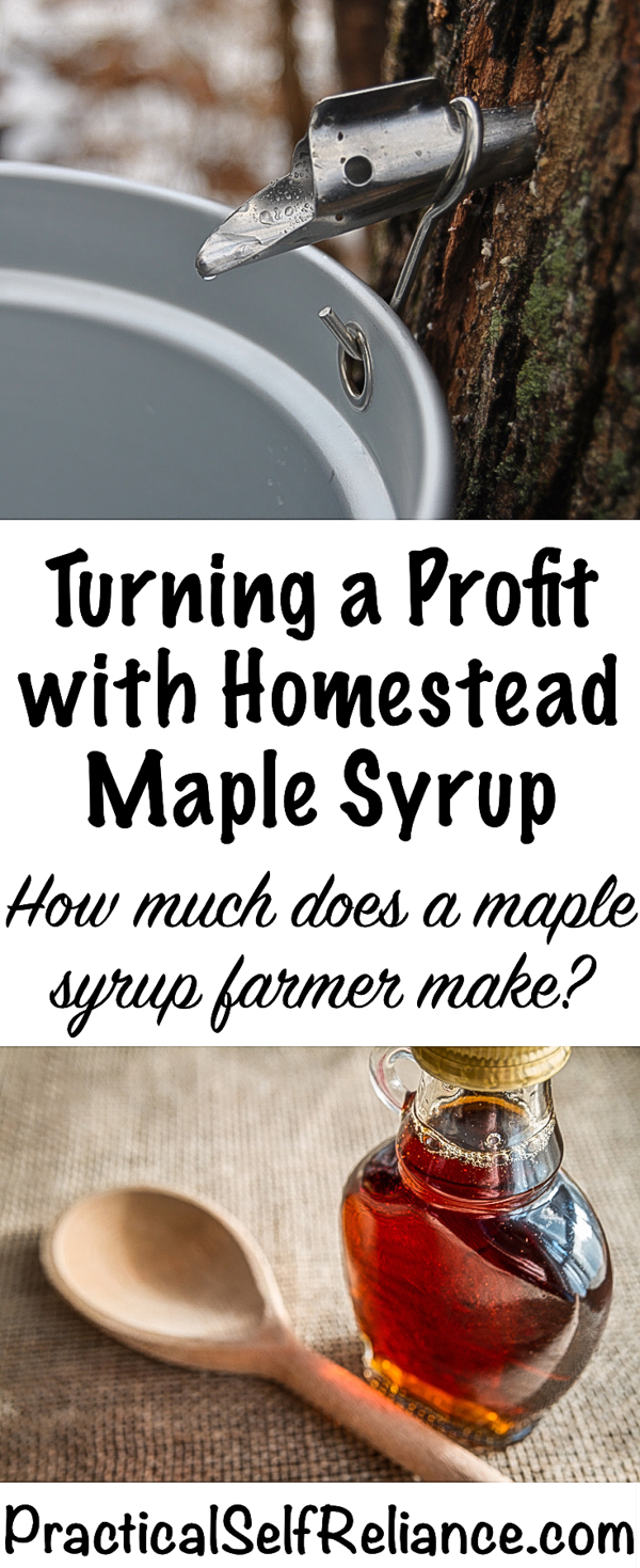 Turning a Profit with Homestead Maple Syrup #maplesyrup #canning #foodpreservation #homesteading #selfsufficiency #naturalsweetener #smallfarm #homesteadincome #moneymakingideas