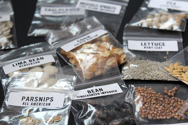 Survival Seeds