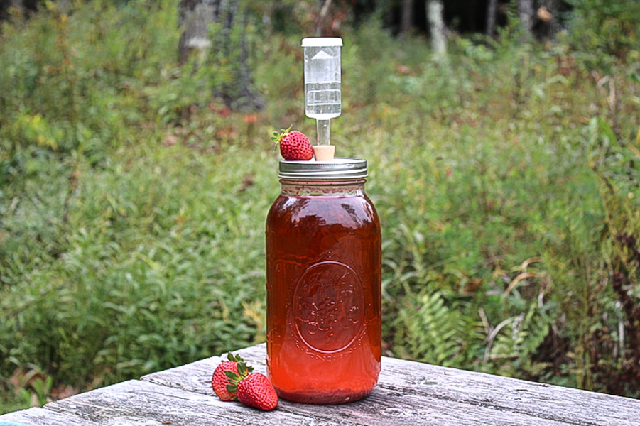 Homemade Strawberry Wine