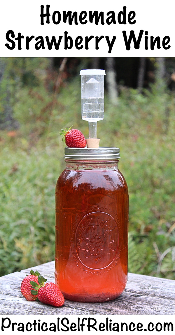 Homemade Strawberry Wine Recipe #strawberries #strawberryrecipe #recipe #fermenting #winemaking #brewing #homebrewing #homebrew #beverages #homemade #fermented #fermenteddrink #wine #winerecipe