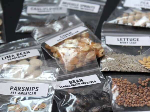 Survival Seeds