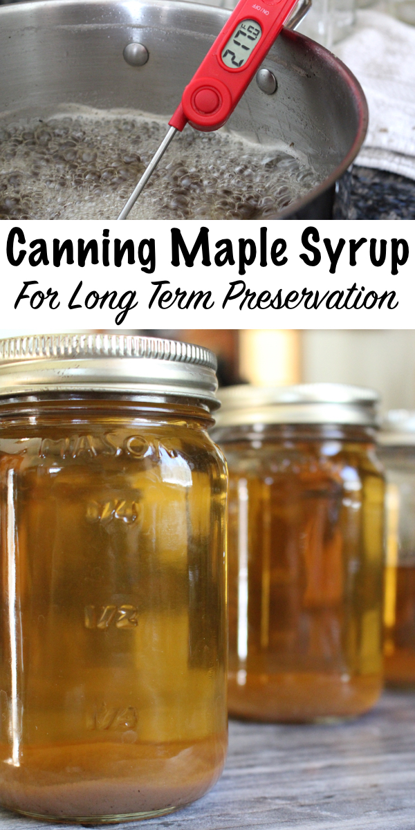  Canning Maple Syrup for Long Term Preservation ~ A jar or maple syrup can last 50+ years if properly canned and stored. You can preserve your own homemade syrup or can up store-bought maple syrup. Either way, canning maple syrup is a great way to preserve maple syrup right on the pantry shelf. #maplesyrup #canning #foodpreservation #homesteading #selfsufficiency #naturalsweetener