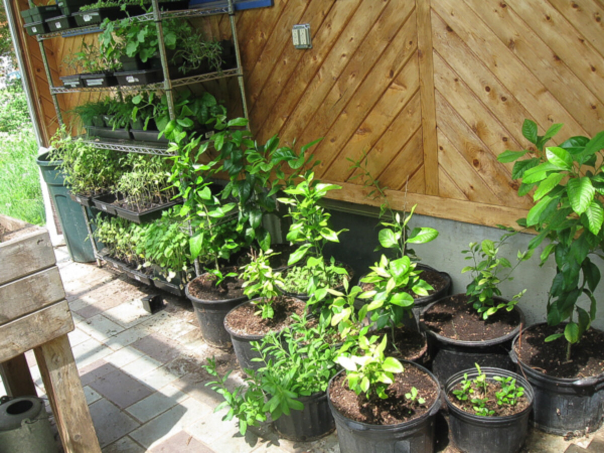 attached greenhouse in may