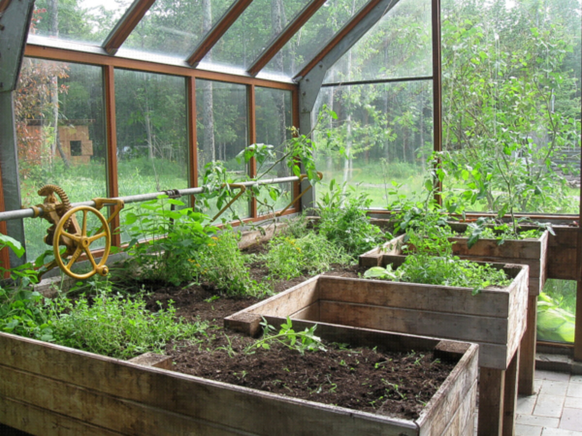 attached greenhouse in the summer