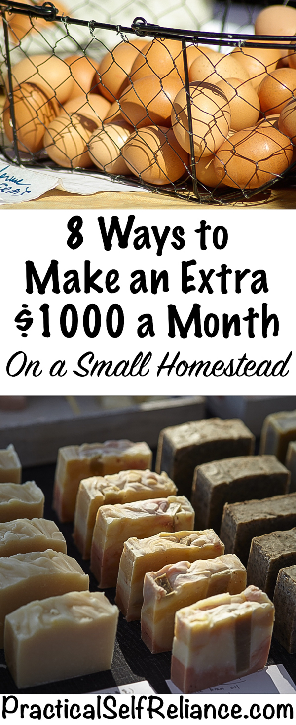 8 Ways to Make an Extra $1000 a Month on a Small Homestead #workfromhome #selfemployed #onlinebusiness