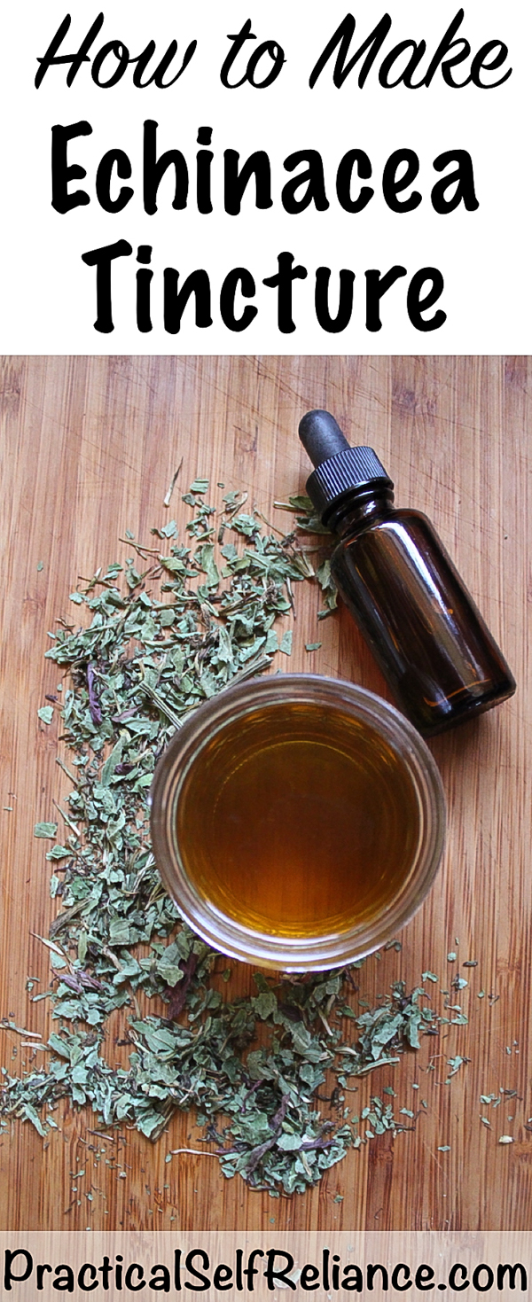 How to Make Echinacea Tincture #echinacea #tincture #herbs #herbalist #herbalism #medicine #forage #foraging #wildcrafting #survival #naturalremedy #homestead #coldandflu #coldremedy