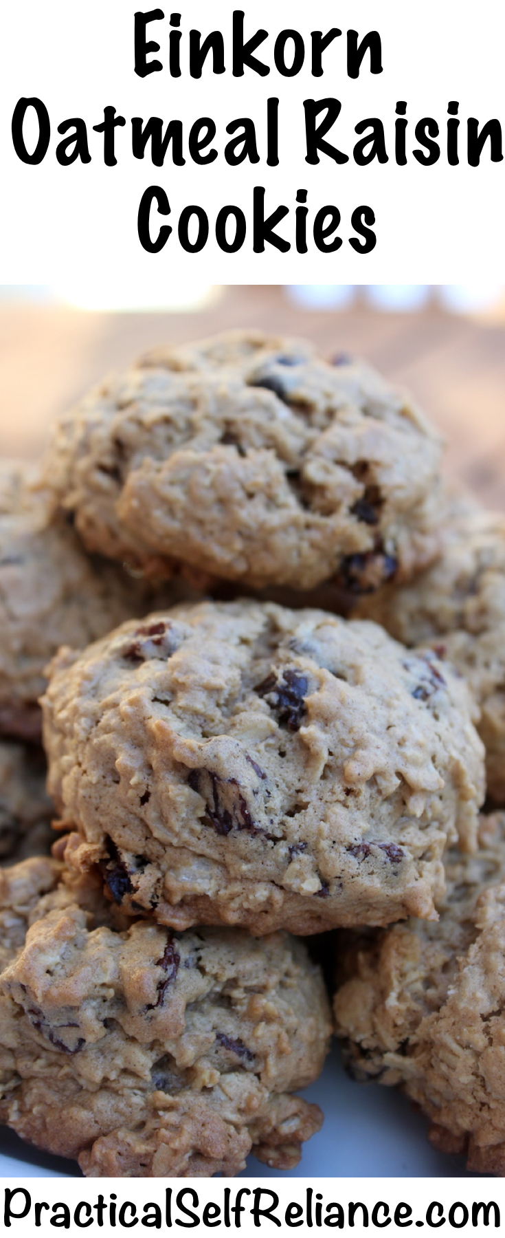 Einkorn Oatmeal Raisin Cookies Recipe