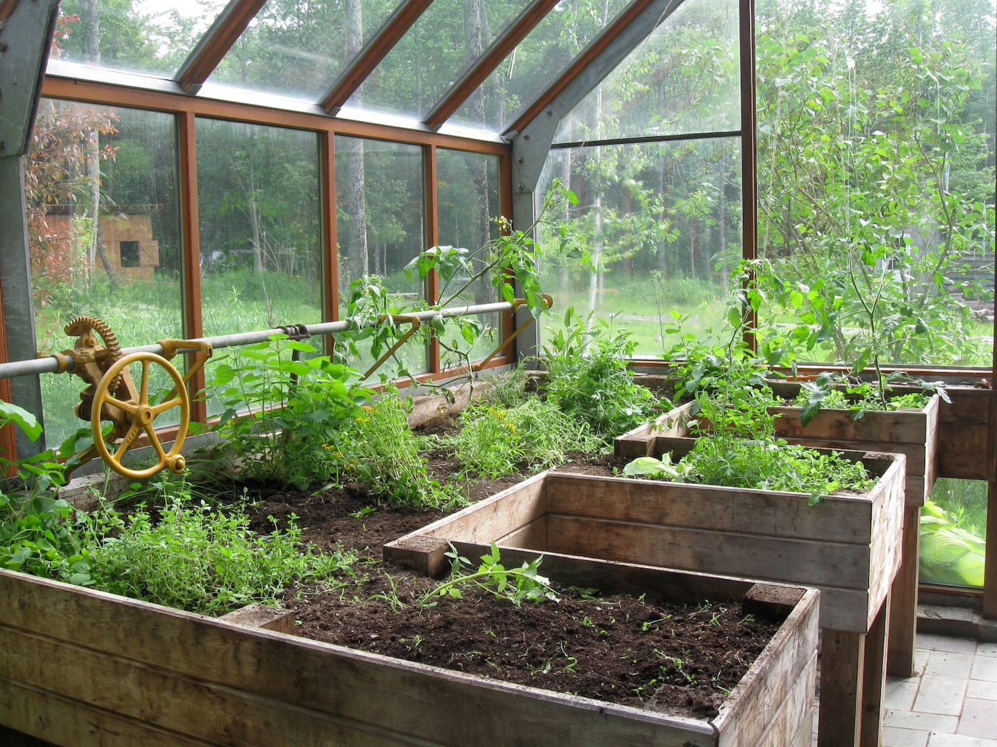 Image of Small freestanding homestead supply greenhouse