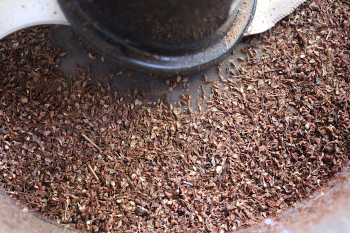 Grinding Dock Seed Flour