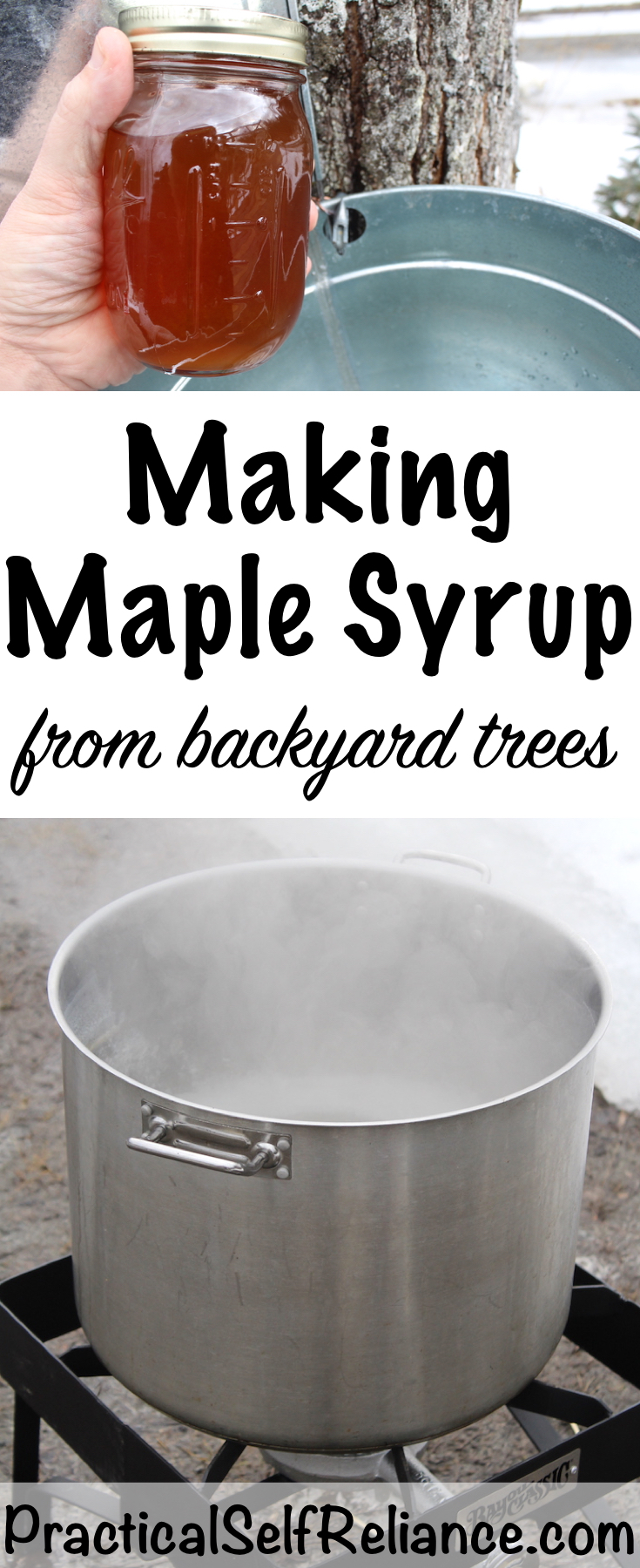 Making Maple Syrup from Backyard Trees #maplesyrup #foodpreservation #homesteading #selfsufficiency #naturalsweetener