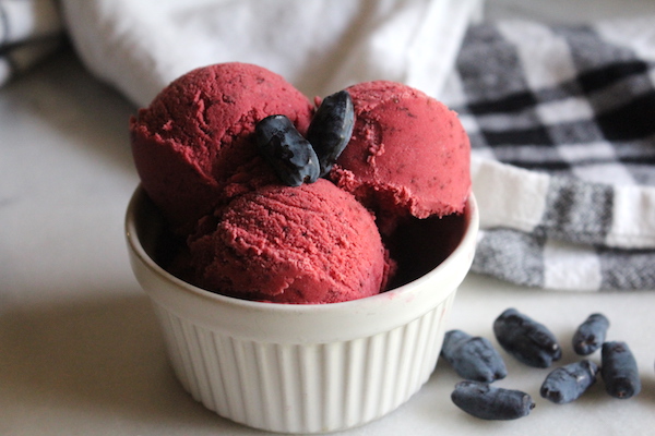 Homemade Haskap Ice Cream