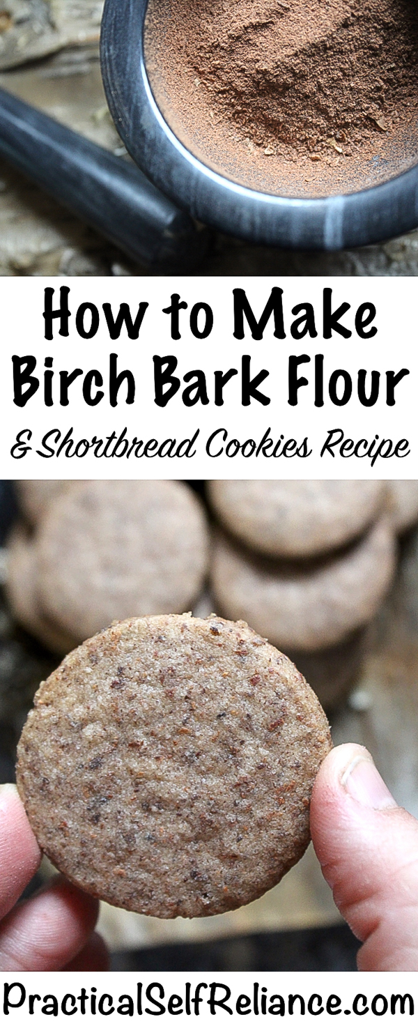How to Make Birch Bark Flour & Shortbread Cookies Recipe ~ Wild Foraged Flour #birchbark #shortbread #shortbreadcookies #cookies #glutenfreeflour #foraging #wildfood #forage #selfsufficiency #wildcrafting