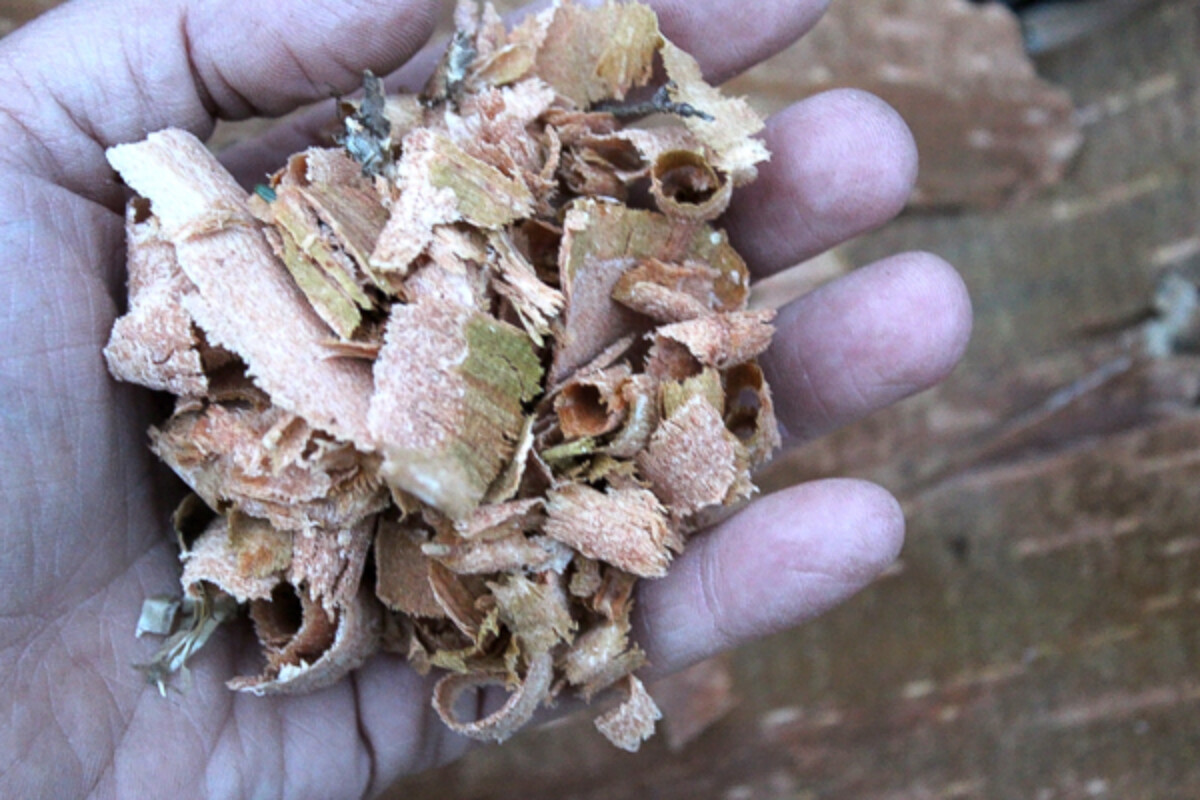 Birch bark for flour