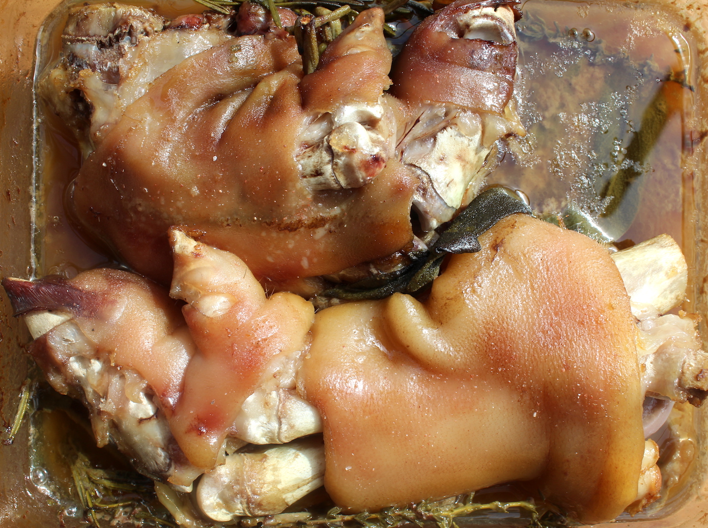 How to Cook Pig Feet How to Cook Pig Feet new picture How to Cook Pig Feet How to Cook Pig Feet new photo