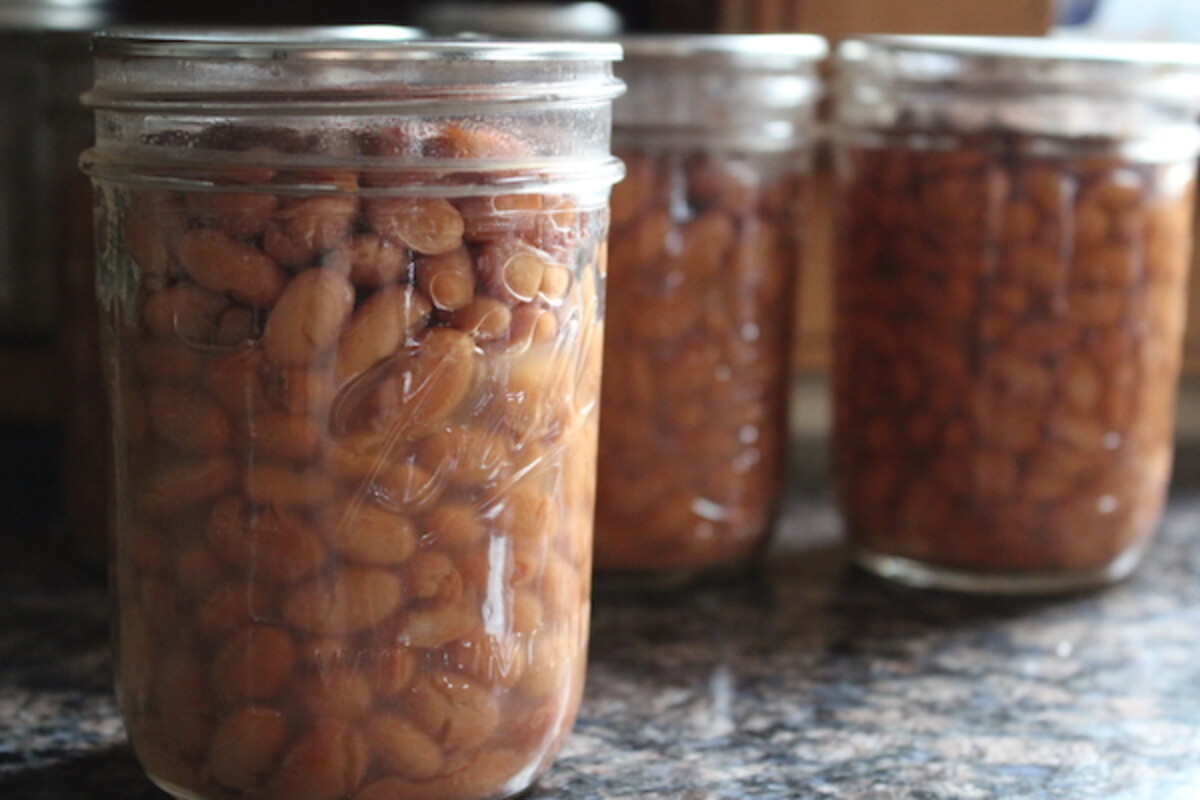 Canning Pinto Beans