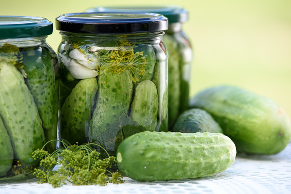 How to Can Everything ~ Canning Recipes for Putting Up The Harvest