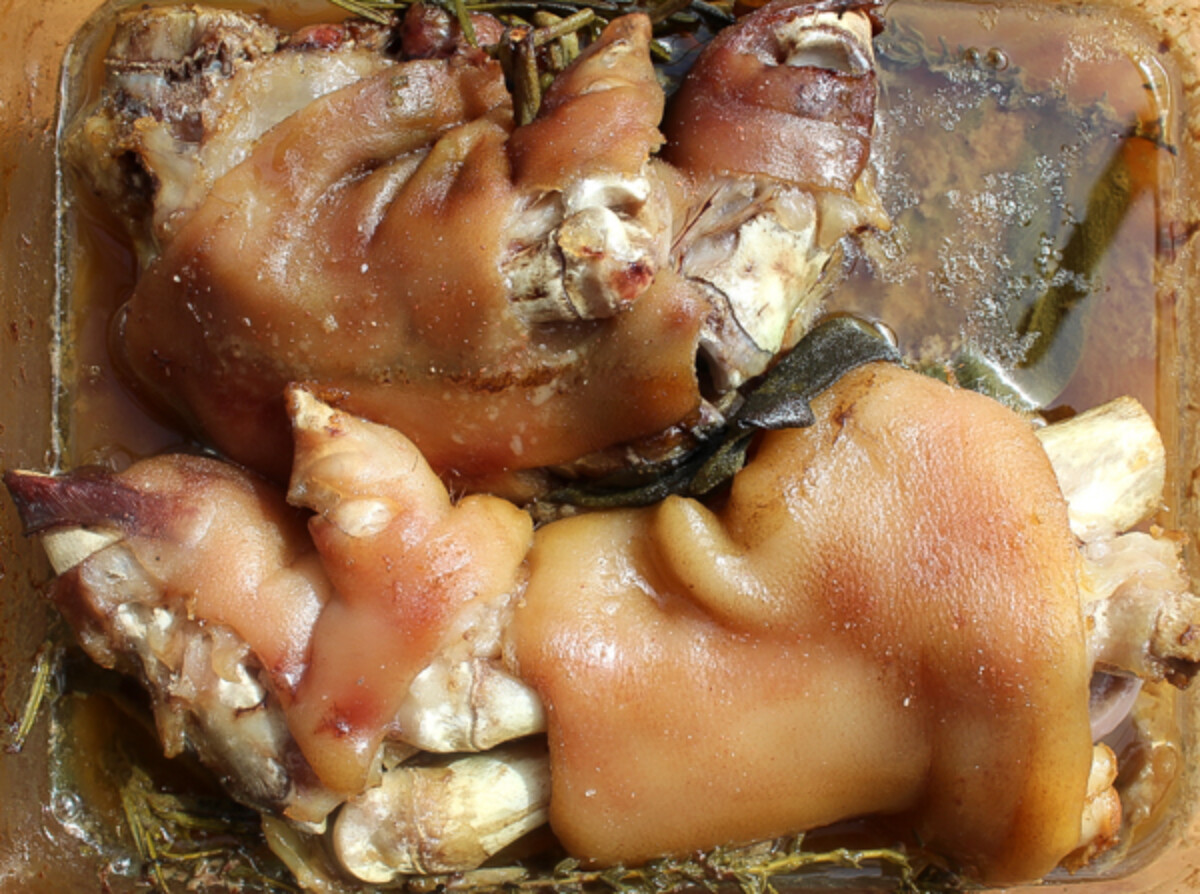 braised pigs feet