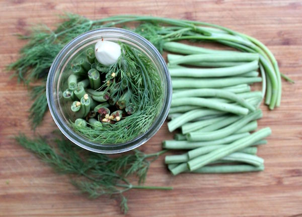 Dilly beans packed and ready for canning