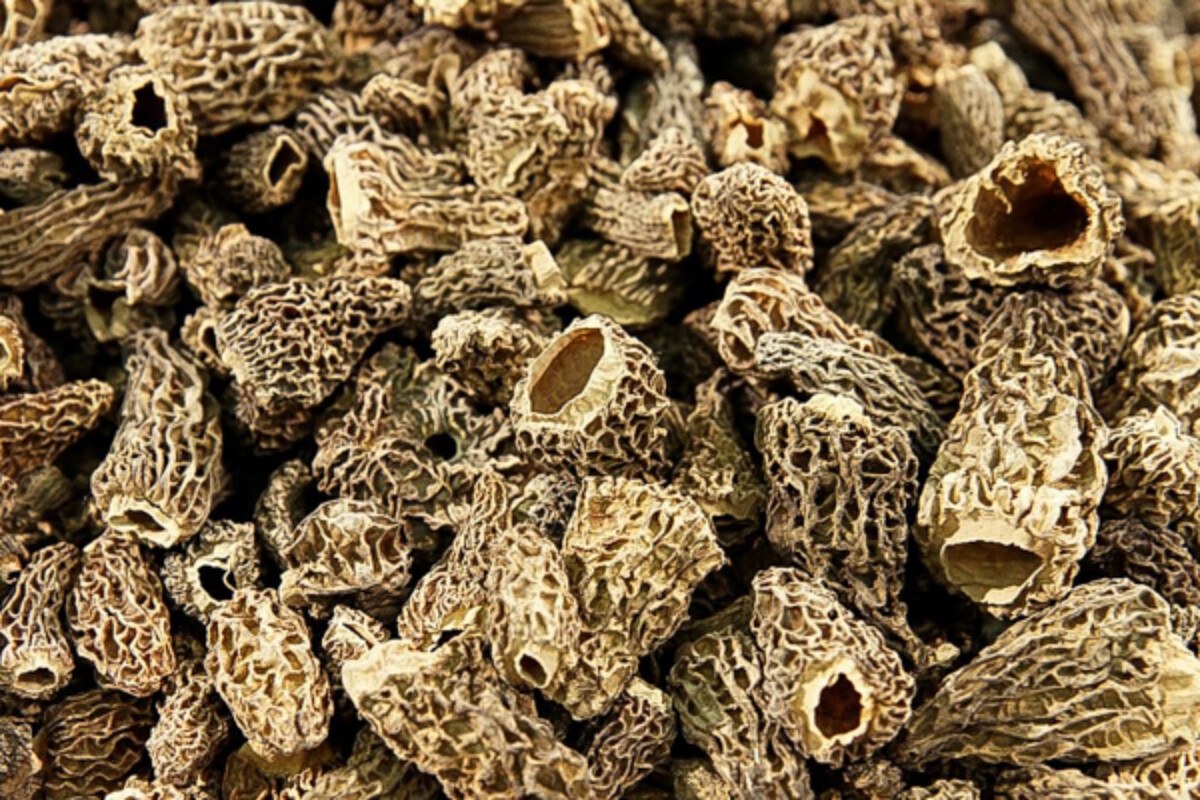 Dried Morel Mushrooms