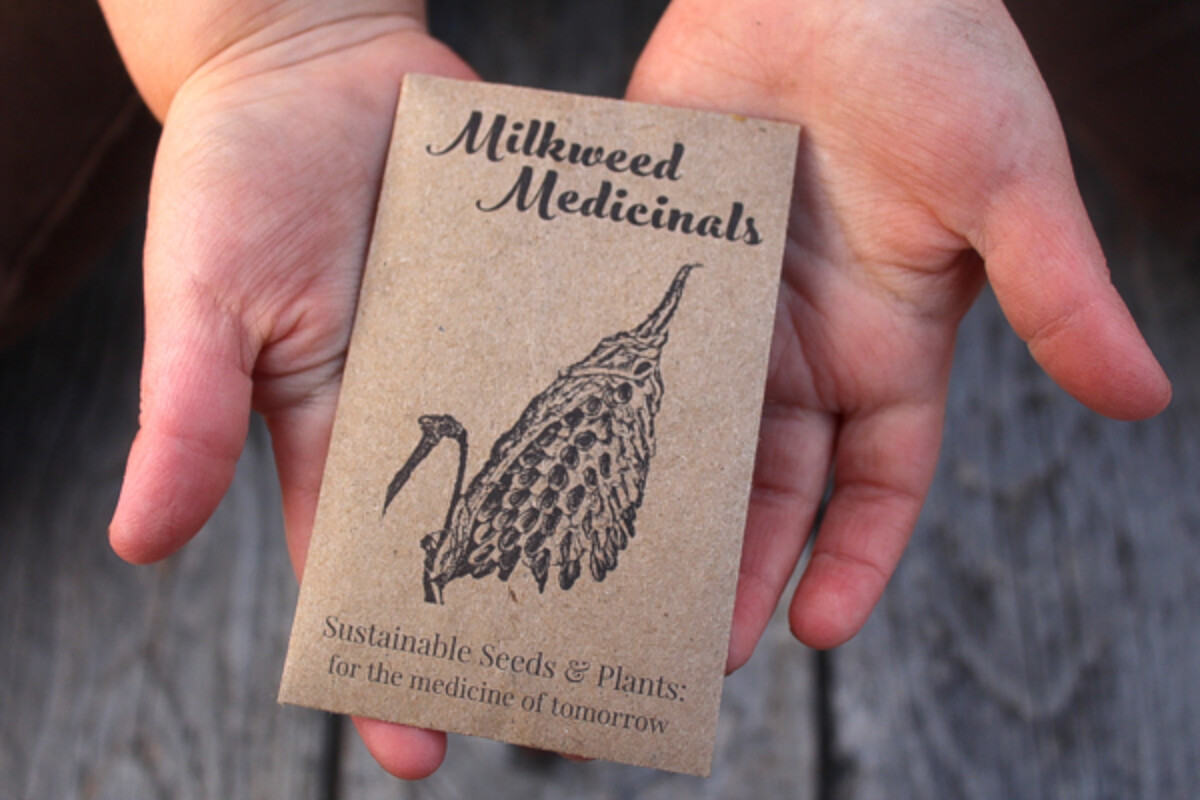 Milkweed Medicinals Ramp Seeds