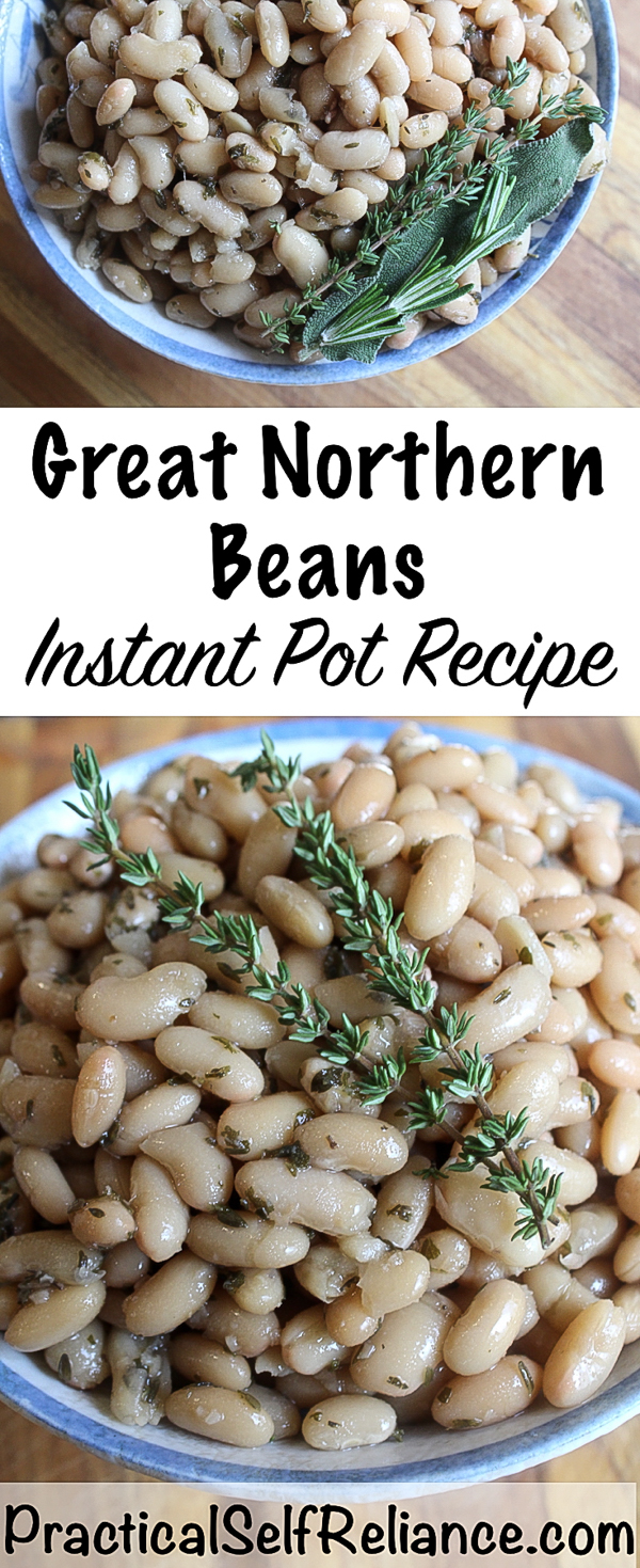 Instant Pot Great Northern Beans ~ Soak and No Soak Recipe #drybeans #cookingbeans #beanrecipe #instantpot #instantpotrecipe