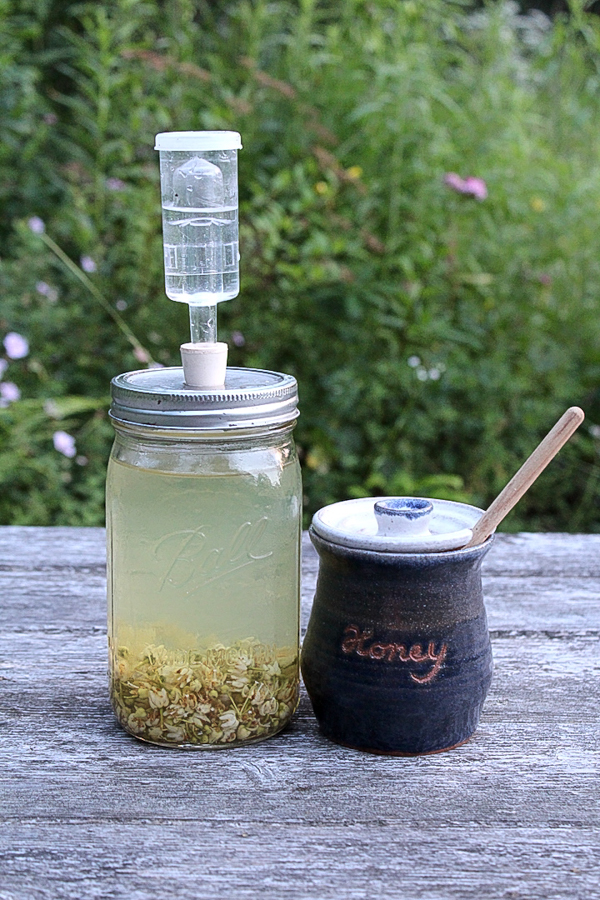 Small Batch Herbal Linden Mead (Herbal Fermentation)