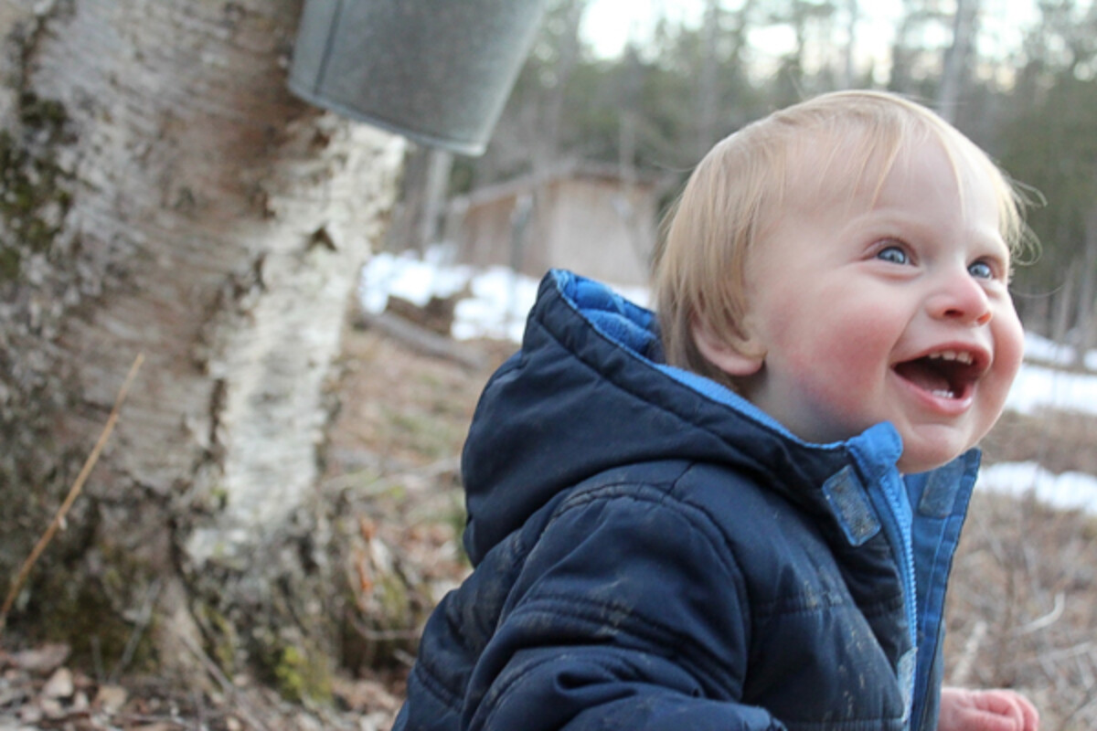 Child Tapping Birch Trees