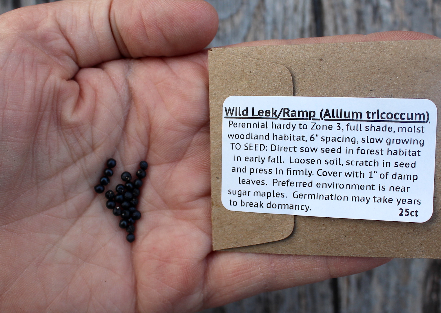 Wild Leek Seeds