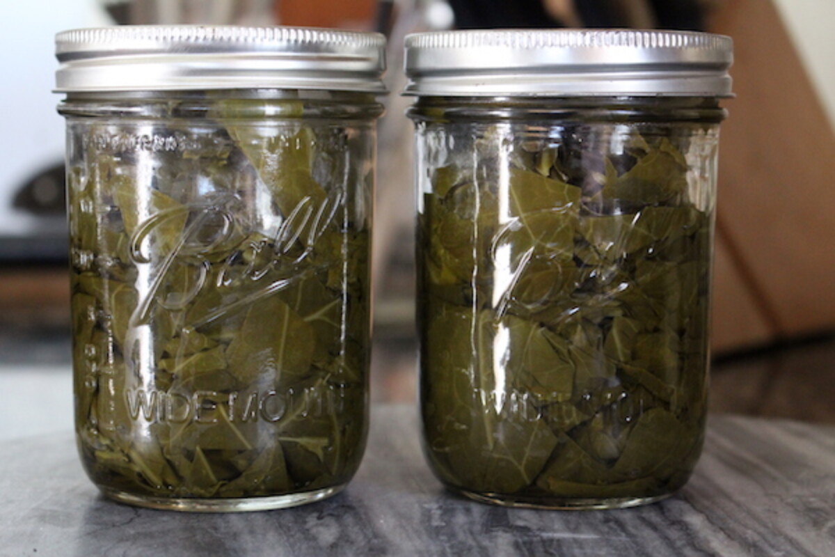 Canning Collard Greens