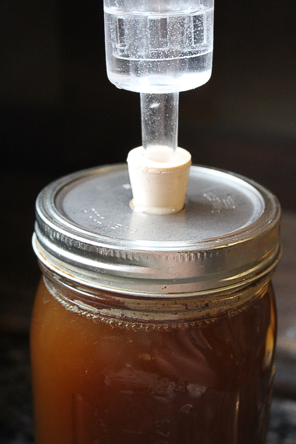 Fermenting birch syrup into birch beer