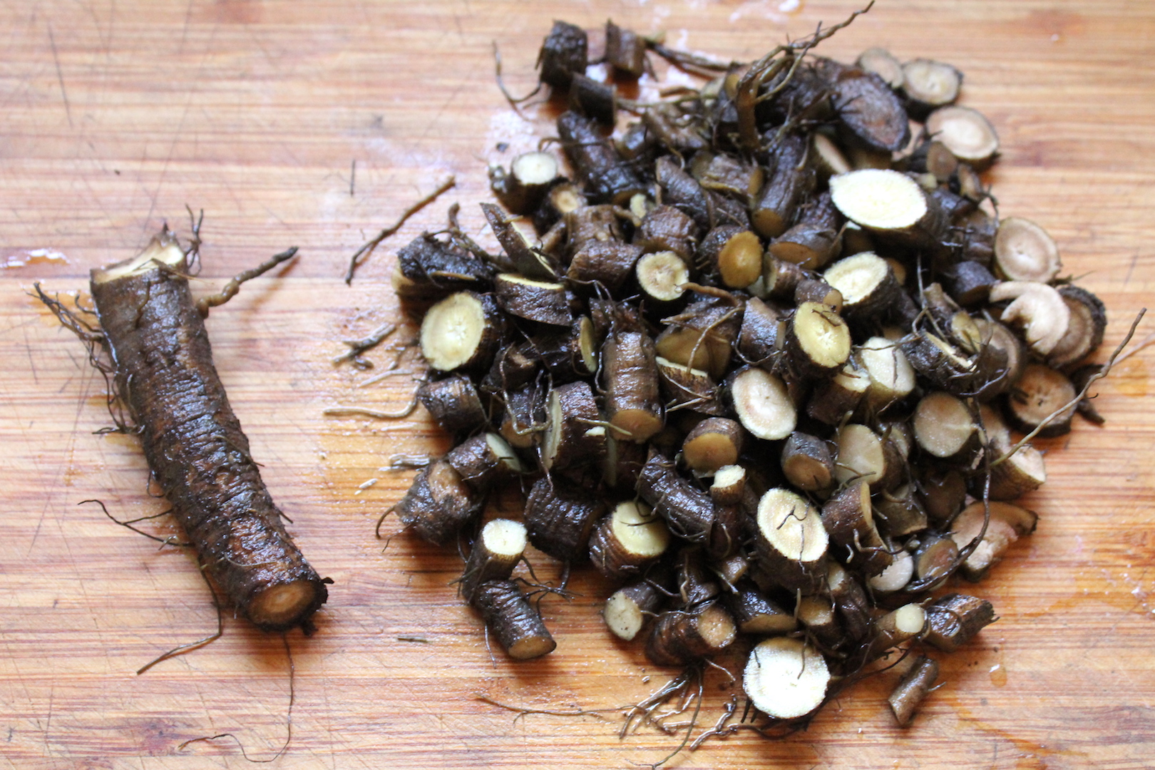 Chopped Burdock for Tincture