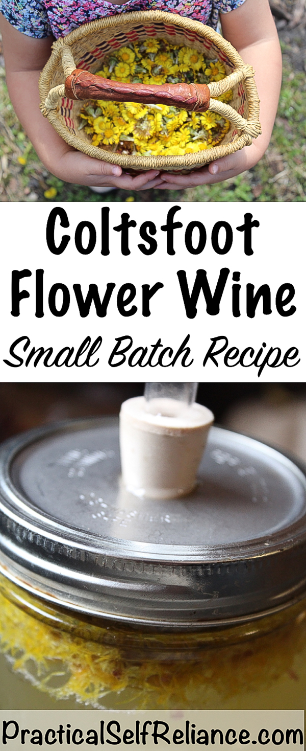 Coltsfoot Wine
