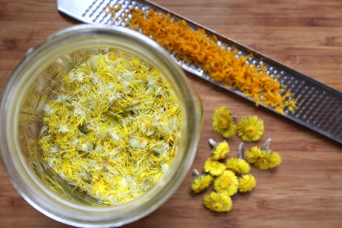 Making Coltsfoot Wine