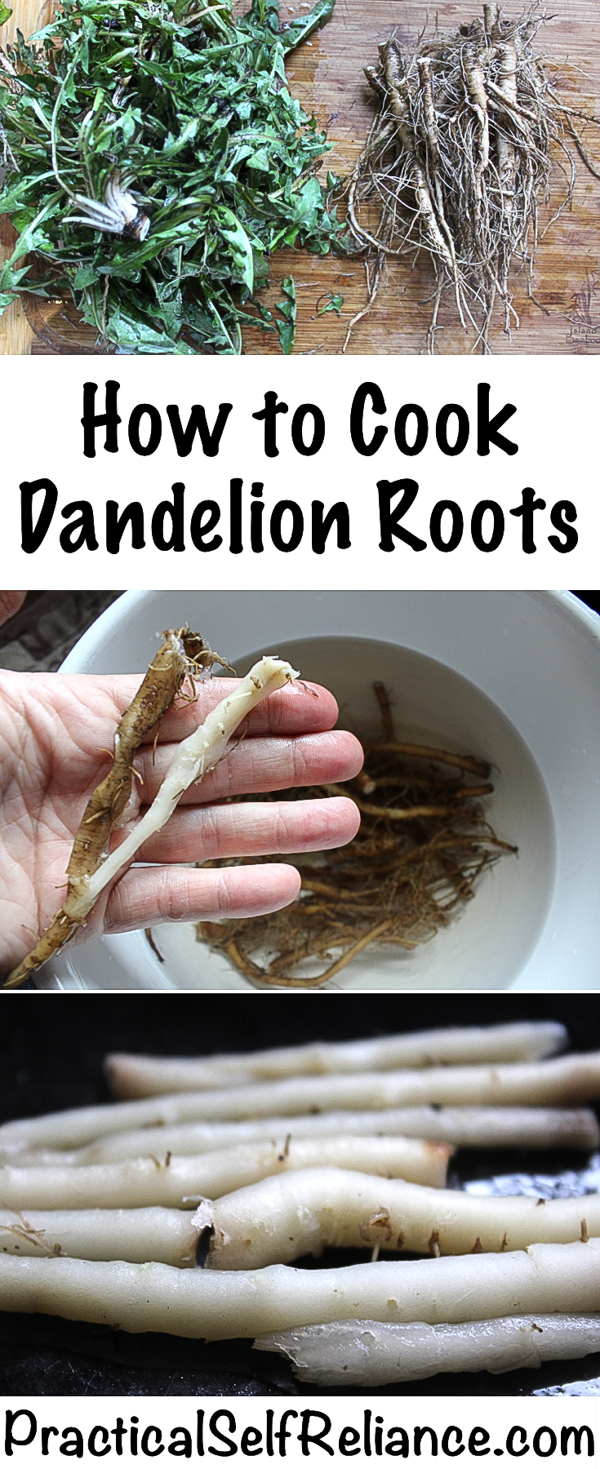 How to Cook Dandelion Roots ~ Wild Foraged Food #dandelion #dandelions #dandelionroot #herbs #herbalism #foraging #wildfood #forage #selfsufficiency #wildcrafting