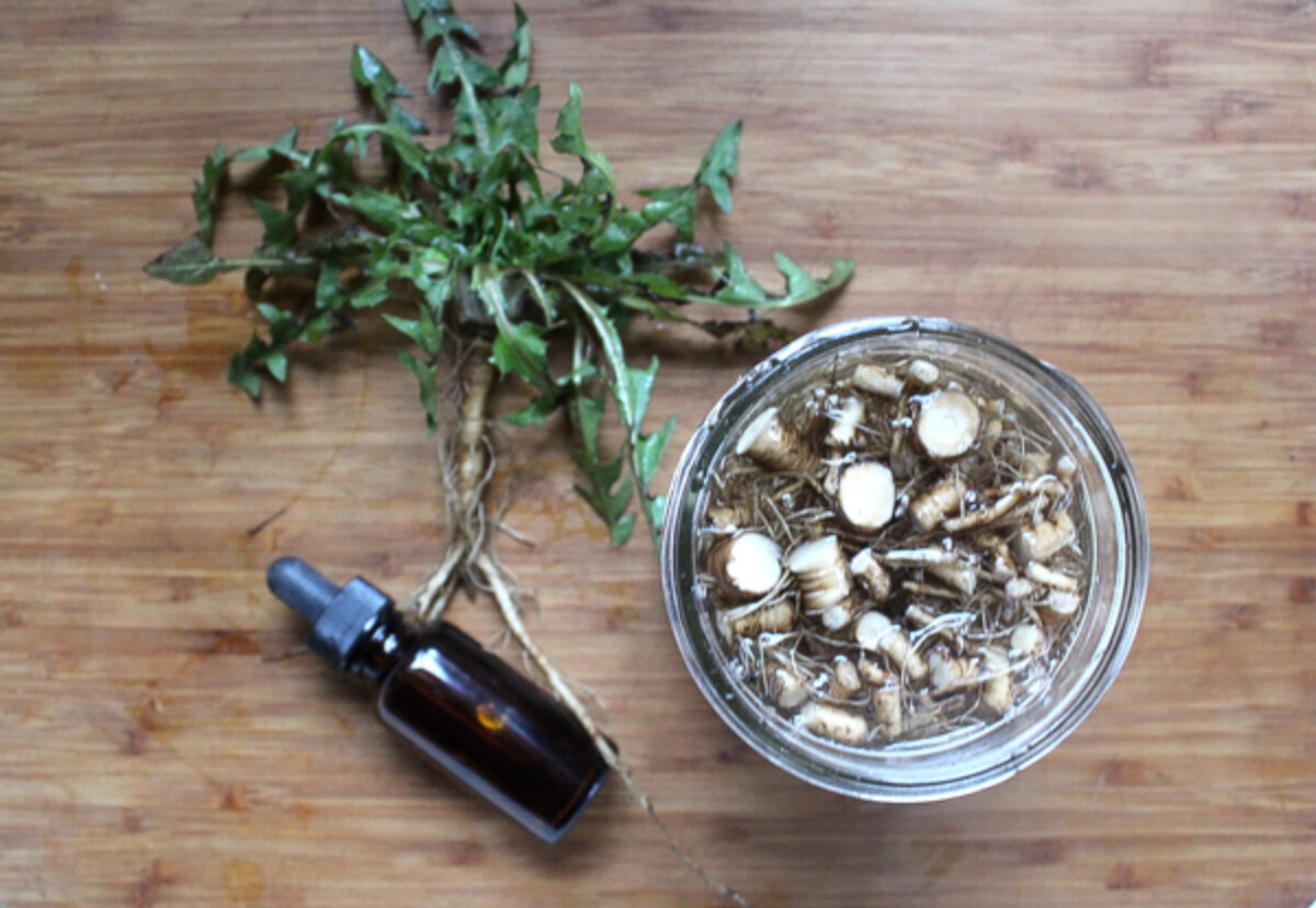 Making Dandelion Tincture