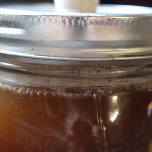 Homemade Birch Beer with Birch Sap or Birch Syrup
