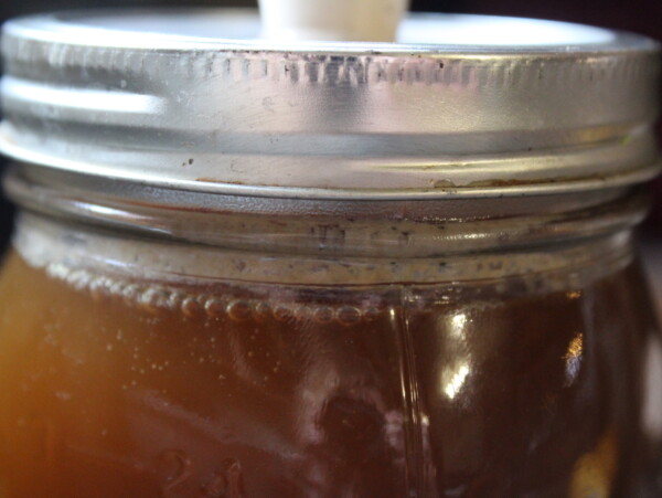 Homemade Birch Beer with Birch Sap or Birch Syrup