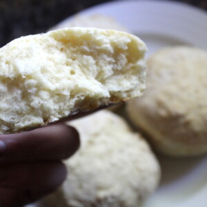 Homemade Biscuit Mix