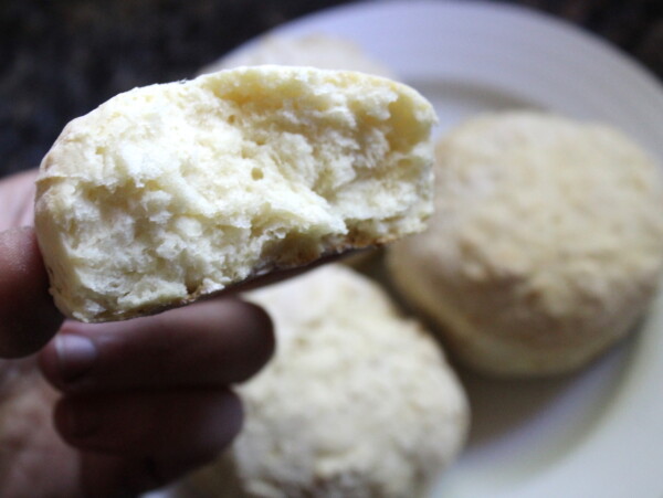 Homemade Biscuit Mix