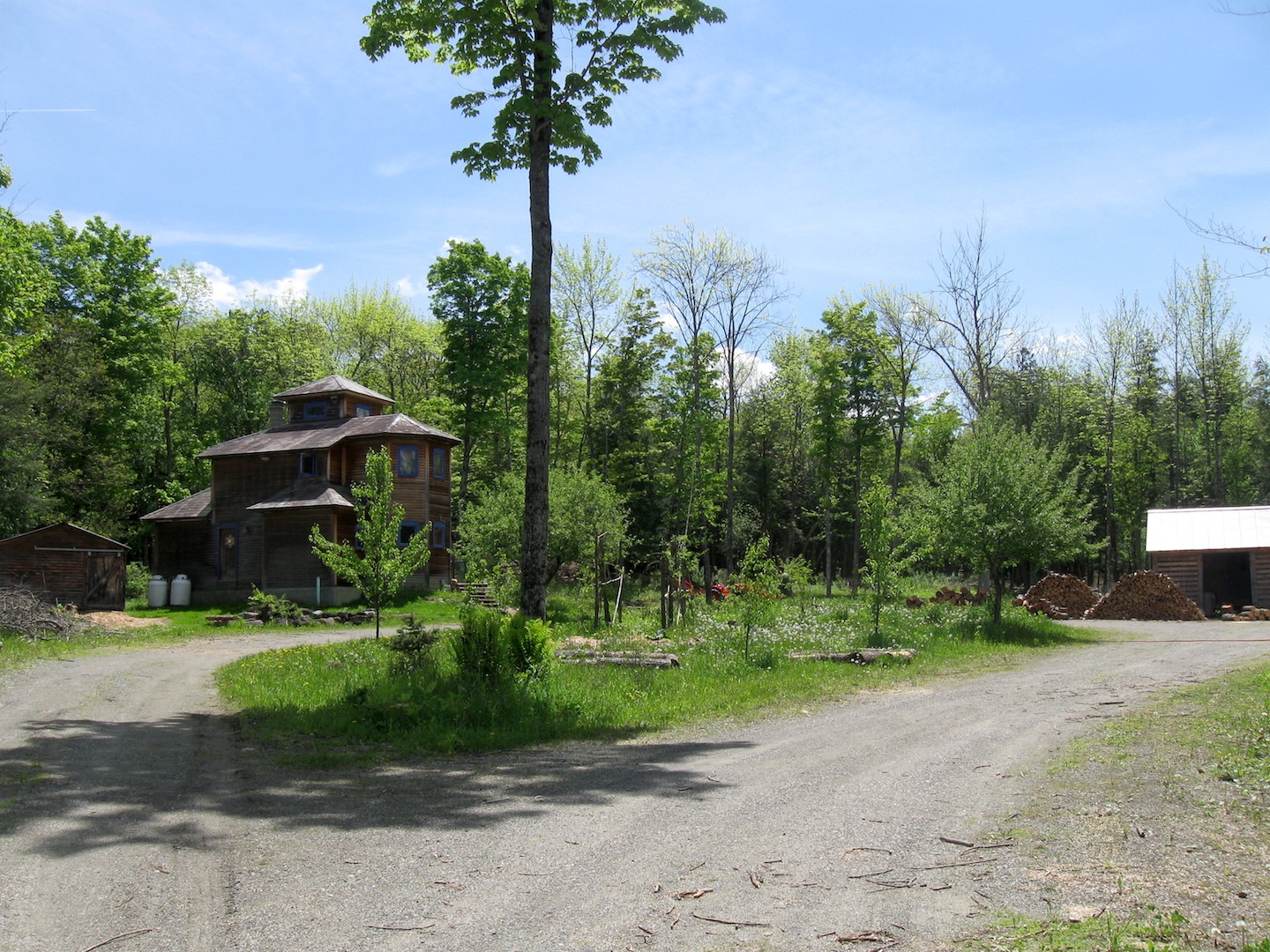 Homesteading on Wooded Land