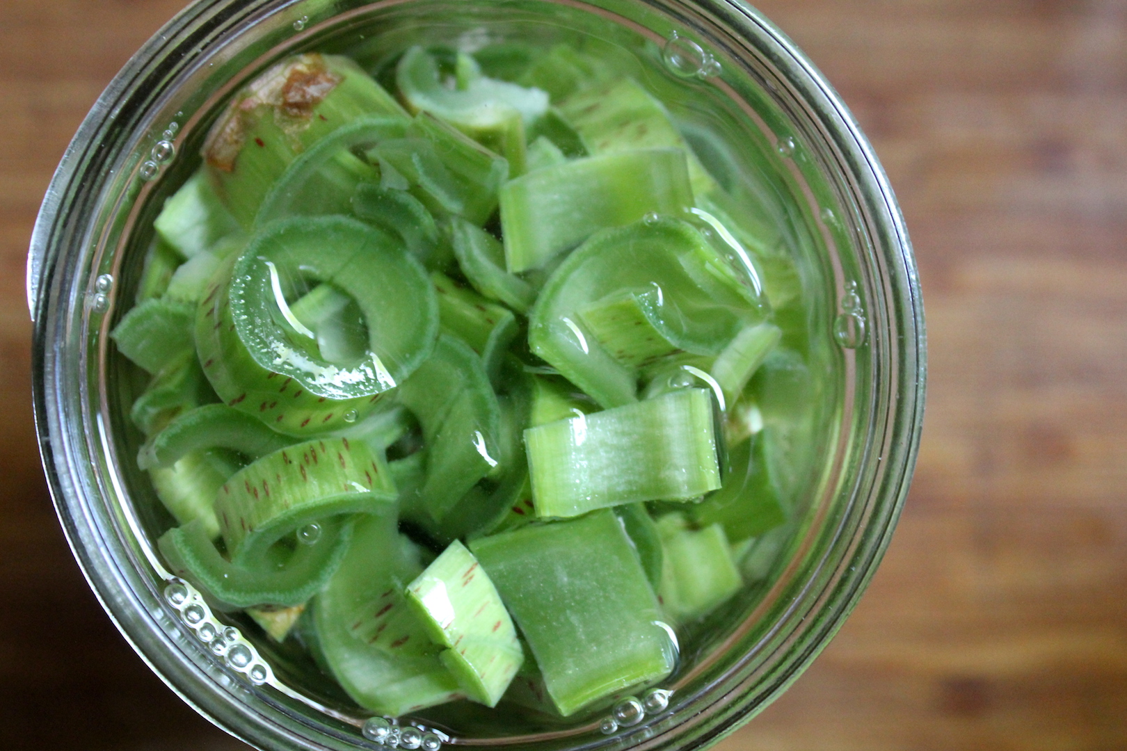 Knotweed Tincture