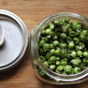 Lacto-fermented Dandelion Capers