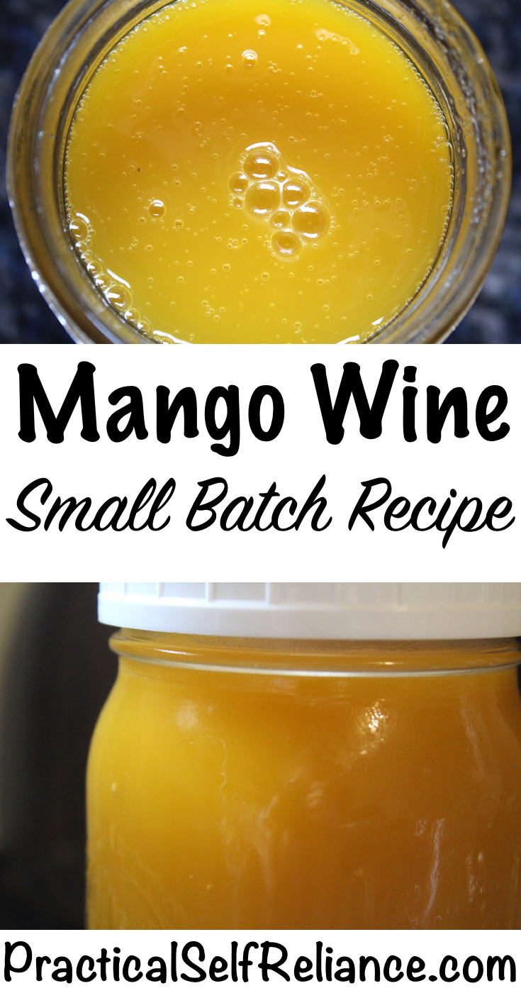 Mango Wine Small Batch Recipe — Practical Self Reliance