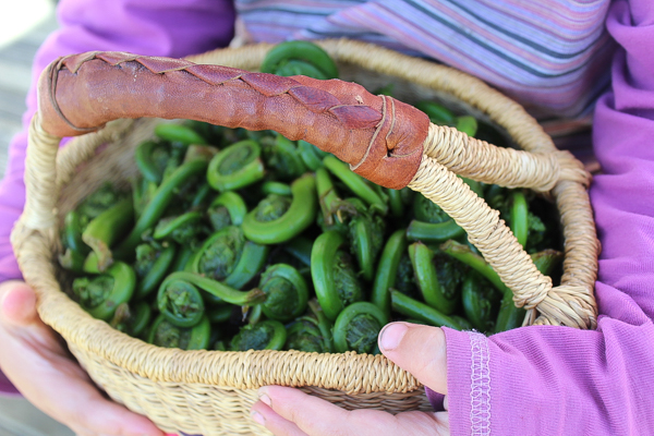 https://practicalselfreliance.com/wp-content/uploads/2018/05/Pickled-Fiddleheads-2-of-6.jpg