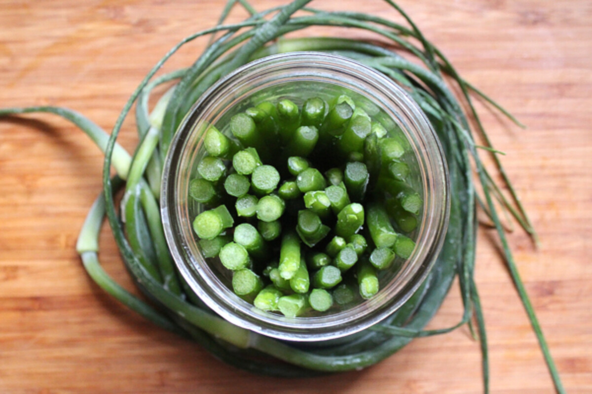 Canned Garlic Scapes